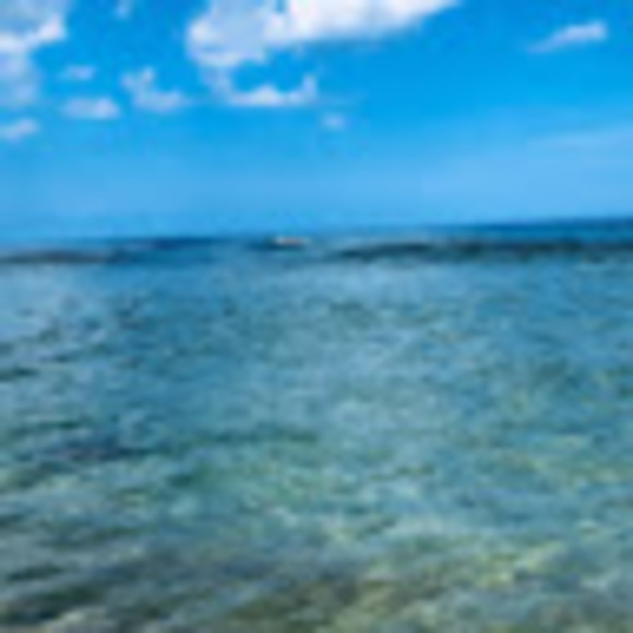 Meet your Posher, Carly - Picture 1 of 1